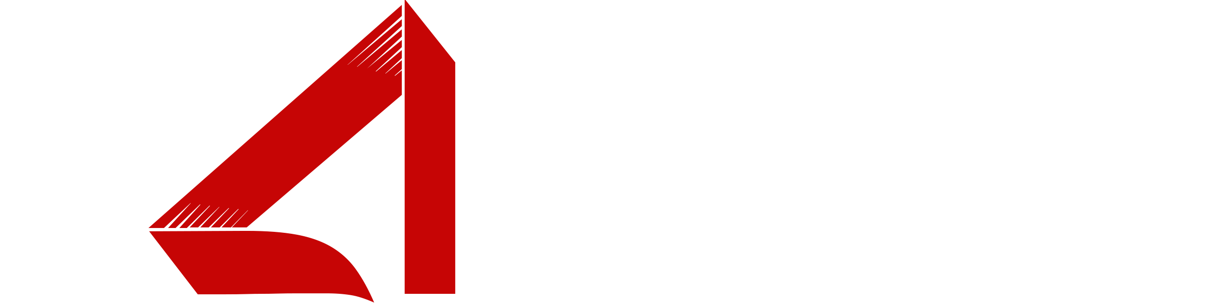 INTERNATIONAL ADVICES INVESTMENT